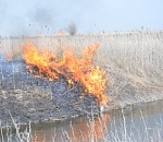 В мае в Астраханской области произошло 100 камышовых пожаров