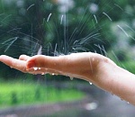 Какой же понедельник да без дождя? Хотя в целом по Астраханской области он пройдет местами и недолго