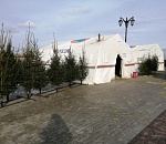 Безопасность астраханцев при праздновании Крещения обеспечат около 400 полицейских и росгвардейцев 