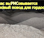 «Пятерку» - за «белое золото»: Астраханская область намеревается вернуть себе ведущее место в рисоводстве