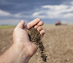 Глава астраханского сельсовета подарил другу земельный участок