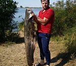 Сезон сомов-гигантов. Очередной рыбак поделился астраханским трофеем