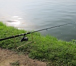 В Астрахани обсудили спасение воблы