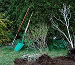 Астраханец, угрожавший убийством сыну, теперь - потерпевший