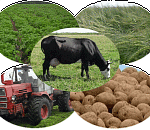 Астраханская область в 2015г направит более 500 млн руб. на поддержку АПК