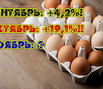 Удар по яйцам-2: в октябре рост цен на социально важный продукт в Астраханской области оказался вчетверо выше, чем в сентябре