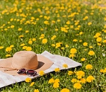 Завтра погода в Астрахани даст сбой