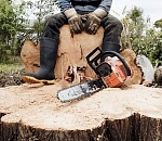 Иностранного "черного" лесоруба задержали в Астраханской области