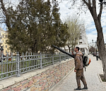 Астраханские туи подвергают необычной гигиенической процедуре