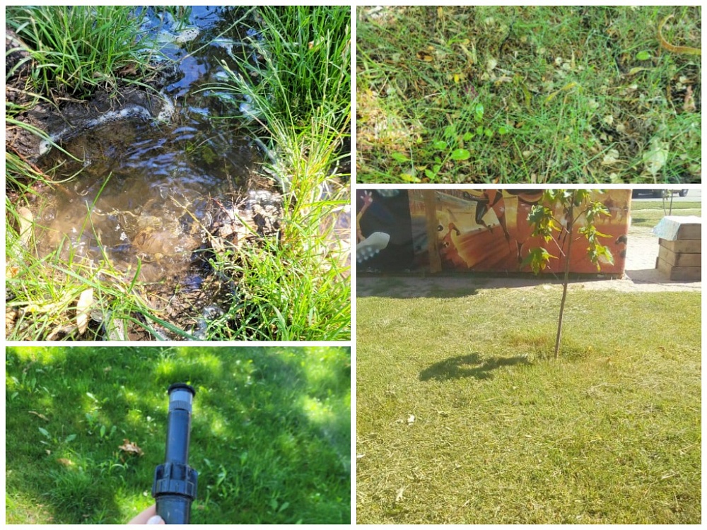 В нескольких астраханских скверах вандалы испортили систему полива