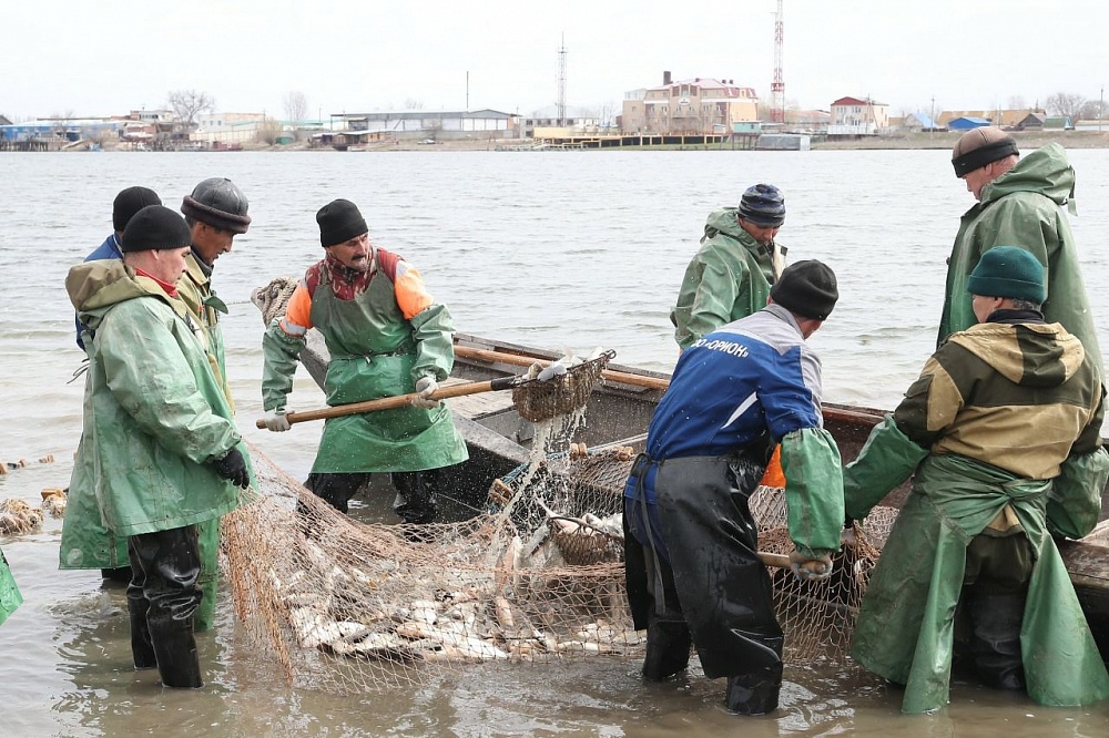 В Астраханской области усилят контроль над туристами и объемами вылова рыбы