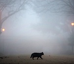 Погода во вторник астраханцев не порадует