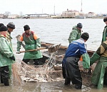 В Астраханской области усилят контроль над туристами и объемами вылова рыбы