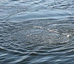 В Астраханской области утонули двое мужчин