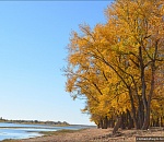 Осенью в Астрахани можно недорого отдохнуть