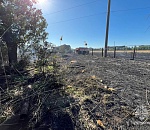 Назван виновник пожара, из-за которого едва не сгорел детский лагерь под Астраханью