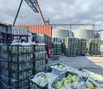 Первая партия свежих овощей прибыла в Астрахань из Ирана