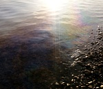 На правобережной стороне Астрахани обнаружили большое маслянистое пятно на речной поверхности