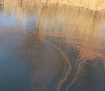 Кто и чем испачкал астраханский ерик