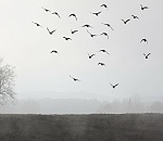 В Астрахани на неделе столбик термометра опустится ниже нулевой отметки