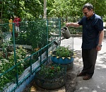 Уже более ста астраханских дворов заявились на городской конкурс по благоустройство