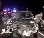 В Астраханской области лошадь спровоцировала серьезное ДТП, есть пострадавшие