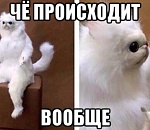 То ли ПЦР, то ли QR-код: астраханский бизнес странно трактует постановление губернатора