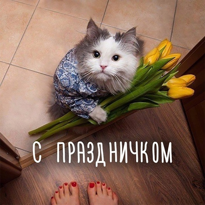 Дополнительные цветочные точки к 8 марта в Астрахани откроют завтра