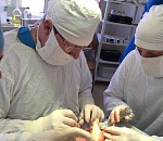 Астраханские хирурги спасли ребенку руку, изуродованную петардой 