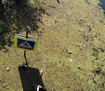 Фото дня: гулять по воде, гулять по воде, гулять по воде со мной