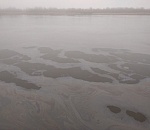 Волгу в Астрахани вновь загадили нефтепродуктами