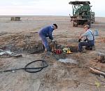 Всемирный фонд дикой природы спас астраханских сайгаков от жажды и браконьеров