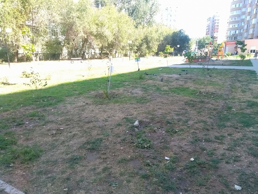 Остатки прежней роскоши: в Астрахани от аллеи остались рожки да ножки