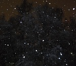 Коммунальщики очищают Астрахань от снега