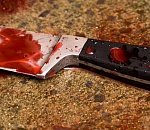 В Астраханской области осужден учитель музыки, устроивший из ревности поножовщину дома у своего ученика