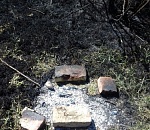 Ничего себе шашлык! Желание астраханца пожарить мясо обернулось природной катастрофой