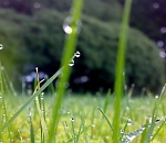 Астраханцам обещают прохладную субботу с дождем и ветром