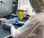 Коронавирус на вырост: за сутки заразились ещё 178 астраханцев 