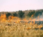 МЧС предупреждает астраханцев о чрезвычайной пожарной опасности