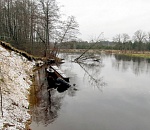 В Астраханской области женщина застряла и не смогла выбраться из тонущего трактора