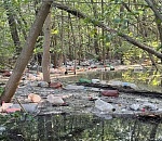 Астраханский остров превратился в помойку