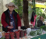 В Астрахани начали работу мини-ярмарки "Зеленые ряды"