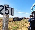 Помощь в ночи: Минтранс Дагестана поблагодарил астраханских коллег и спасателей  