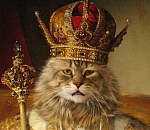 Астраханцы выйдут на митинг против царя