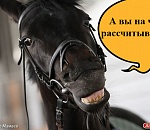 Астраханская область — аутсайдер сельского хозяйства в ЮФО и другие цифры (продолжение)