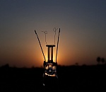 Многие жители Астрахани в четверг останутся без света