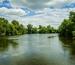 В Астраханской области собираются прочистить критически обмелевшую реку Ахтубу