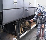 Астраханские бойцы спецподразделений и кинологи с собаками проверяют автобусы 