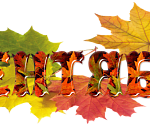 В субботу в Астрахани не будут продавать алкоголь, но будут эвакуировать автомобили