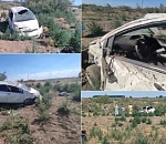 Заяц устроил страшное ДТП под Астраханью